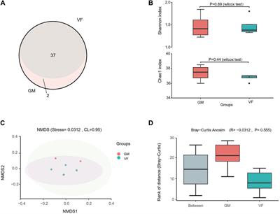 Water filter: a rapid water environmental DNA collector in the field